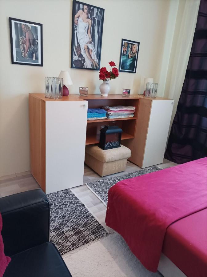 2 bedroom apartment near Szeged Plaza Buitenkant foto