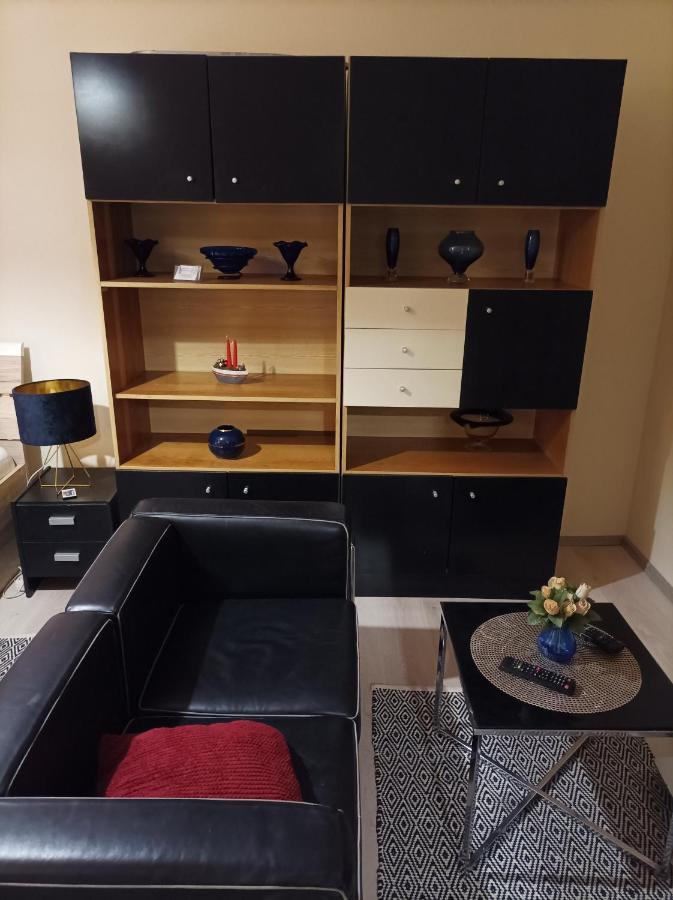 2 bedroom apartment near Szeged Plaza Buitenkant foto
