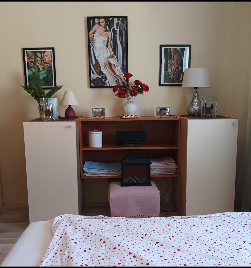 2 bedroom apartment near Szeged Plaza Buitenkant foto
